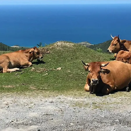 בקתה La Cotaraxa Piloña
