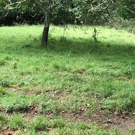 La Cotaraxa בקתה Piloña