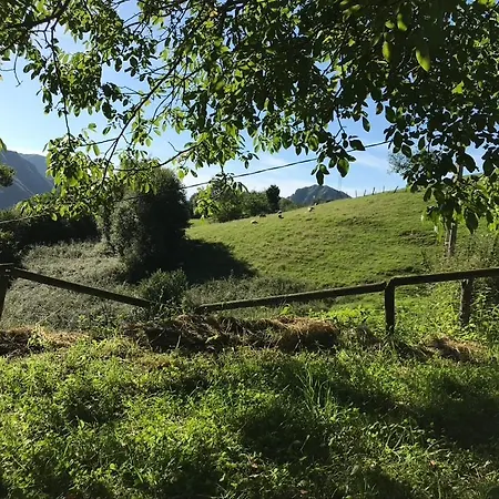 La Cotaraxa