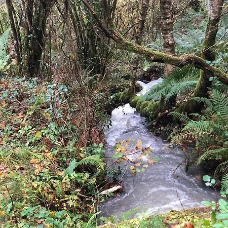 La Cotaraxa Dağ evi Piloña