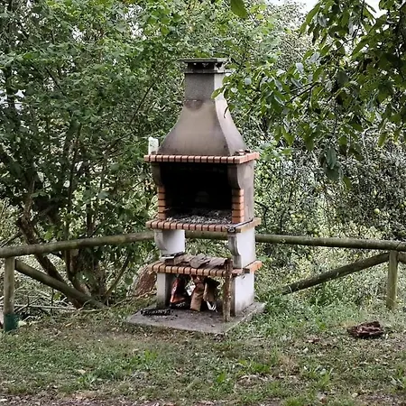La Cotaraxa *