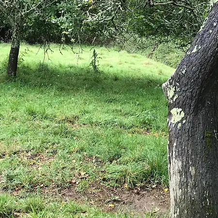 La Cotaraxa Dağ evi