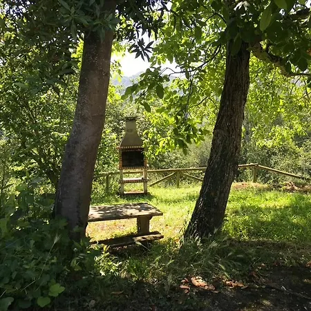 La Cotaraxa *
