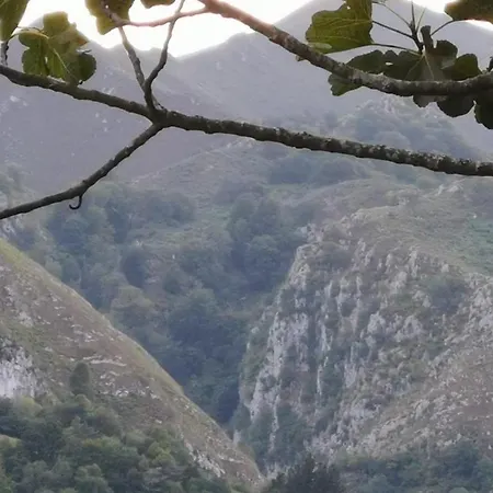 La Cotaraxa Piloña