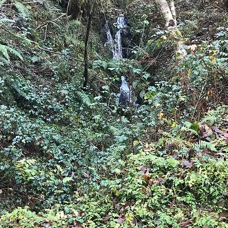 La Cotaraxa Dağ evi *