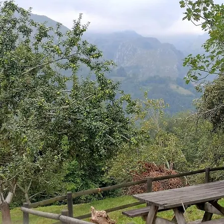 La Cotaraxa *